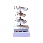 脊髓的內(nèi)部結(jié)構(gòu)和上、下行纖維電動模型