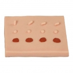 表皮常見(jiàn)病變處理訓(xùn)練模塊