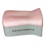 背部仿真針刺練習(xí)平臺(tái)