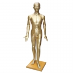 高178CM 針灸銅人模型