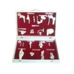 人體骨關節(jié)分類模型