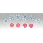 ABO血型演示模型