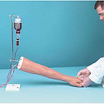 高級(jí)靜脈注射及肌肉注射手臂模型