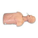 成人氣管插管訓練模型