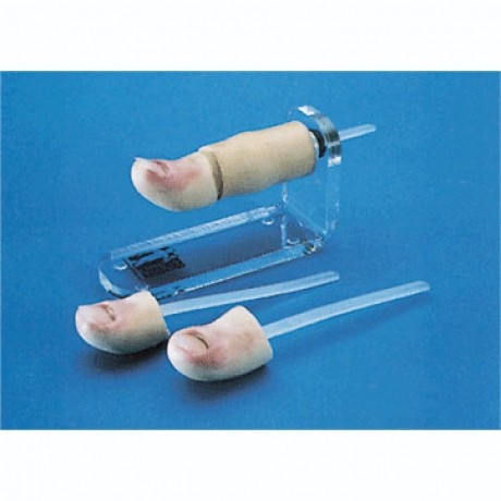 拔甲術(shù)練習模塊