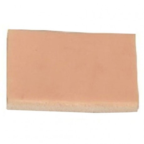 皮脂腺囊腫切除術(shù)練習模塊