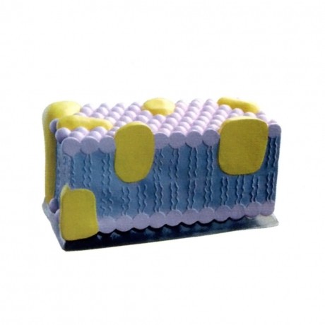 細胞膜放大模型