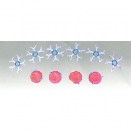 ABO血型演示模型