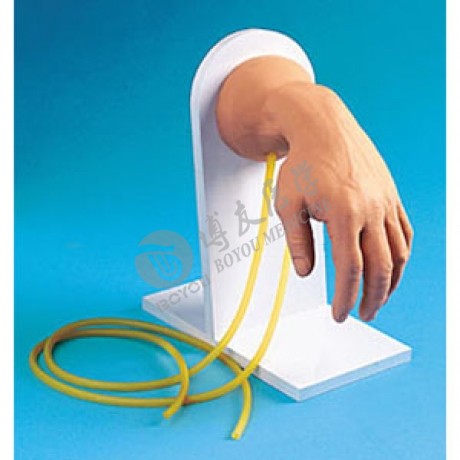 高級(jí)靜脈注射手模型