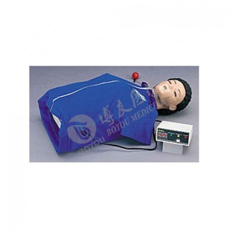 半身CPR模型人 電子監(jiān)測指示燈