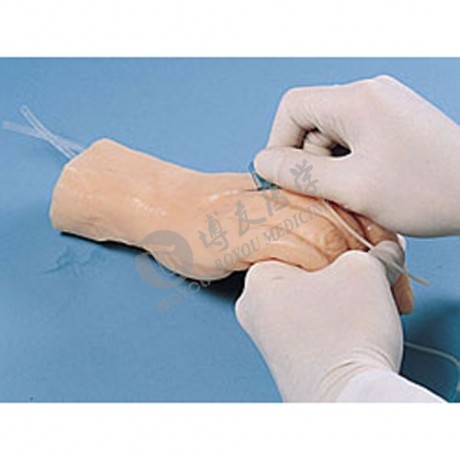 標準靜脈注射手部模型