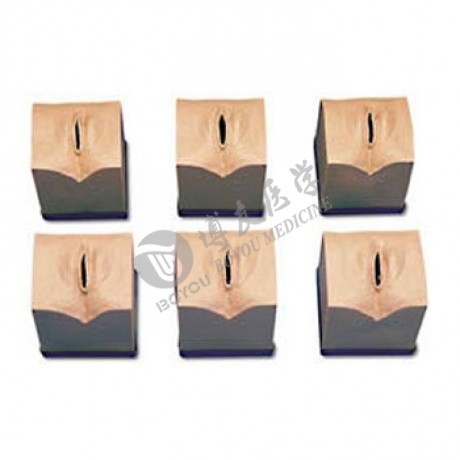 產前宮頸變化模型