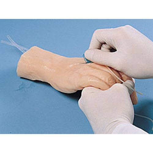 標準靜脈注射手部模型