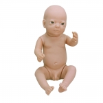 高級出生嬰兒模型(男嬰、女嬰任選)