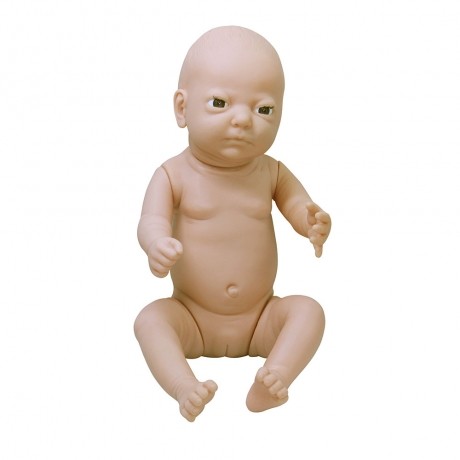 高級(jí)出生嬰兒模型(男嬰、女嬰任選)