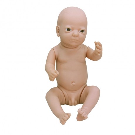 高級(jí)出生嬰兒模型(男嬰、女嬰任選)