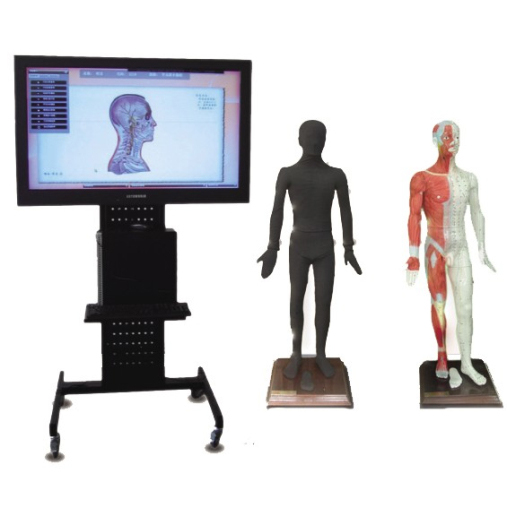 多媒體人體針灸穴位交互數(shù)字平臺(tái)