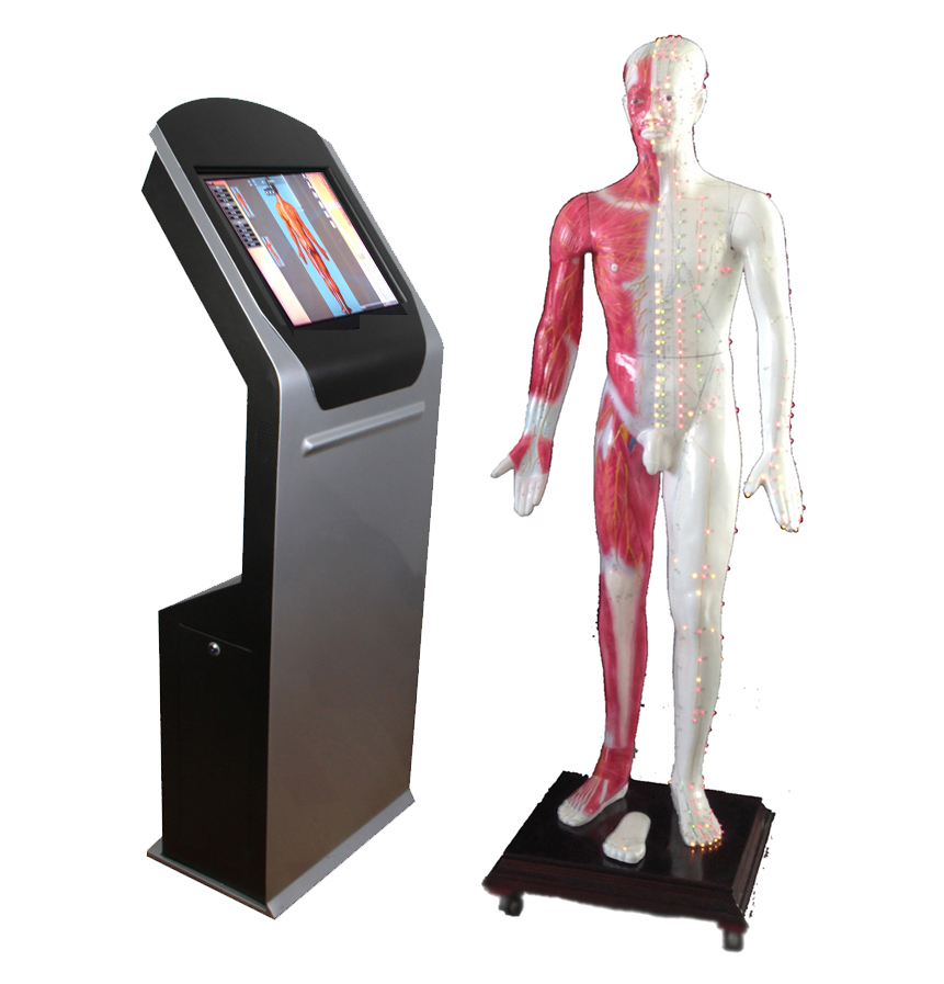 多媒體人體穴位發(fā)光數(shù)字交互平臺(tái) ，多媒體人體針灸穴位交互數(shù)字平臺(tái) ，多媒體針灸穴位發(fā)光模型