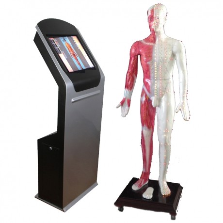 多媒體人體穴位發(fā)光數(shù)字交互平臺 ，多媒體人體針灸穴位交互數(shù)字平臺 ，多媒體針灸穴位發(fā)光模型