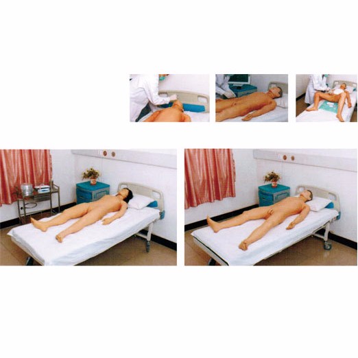 高級(jí)全功能護(hù)理仿真標(biāo)準(zhǔn)化病人