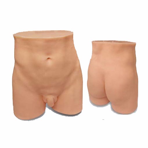 臀部針灸訓(xùn)練模型