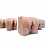 高級產(chǎn)前宮頸變化與產(chǎn)道關(guān)系模型