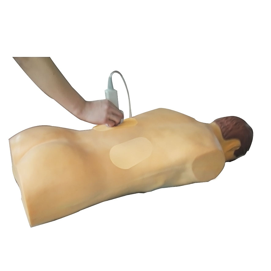 高仿真超聲、X線引導(dǎo)經(jīng)皮穿刺腎鏡技能訓(xùn)練人體模型