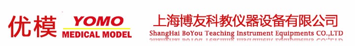 優(yōu)模品牌、醫(yī)訓(xùn)品牌心肺復(fù)蘇模擬人|醫(yī)學(xué)教學(xué)模型|急救護(hù)理模擬人|高級(jí)電腦心肺復(fù)蘇模擬人|博友醫(yī)學(xué)--上海博友科教儀器設(shè)備有限公司