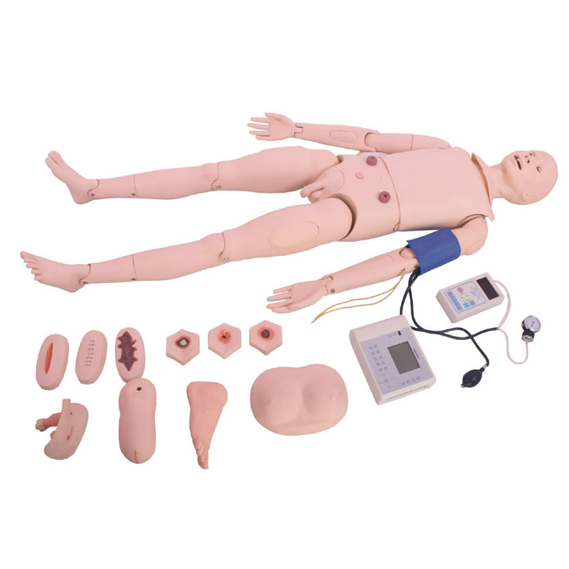  高級(jí)成人護(hù)理模型