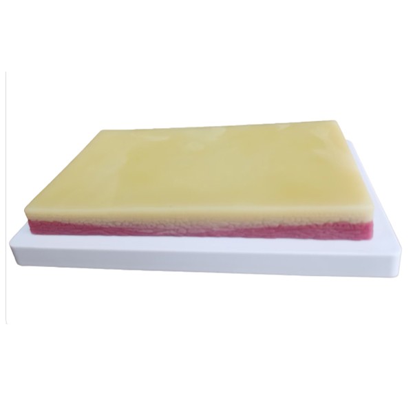 高級(jí)皮膚肌肉縫合練習(xí)模塊