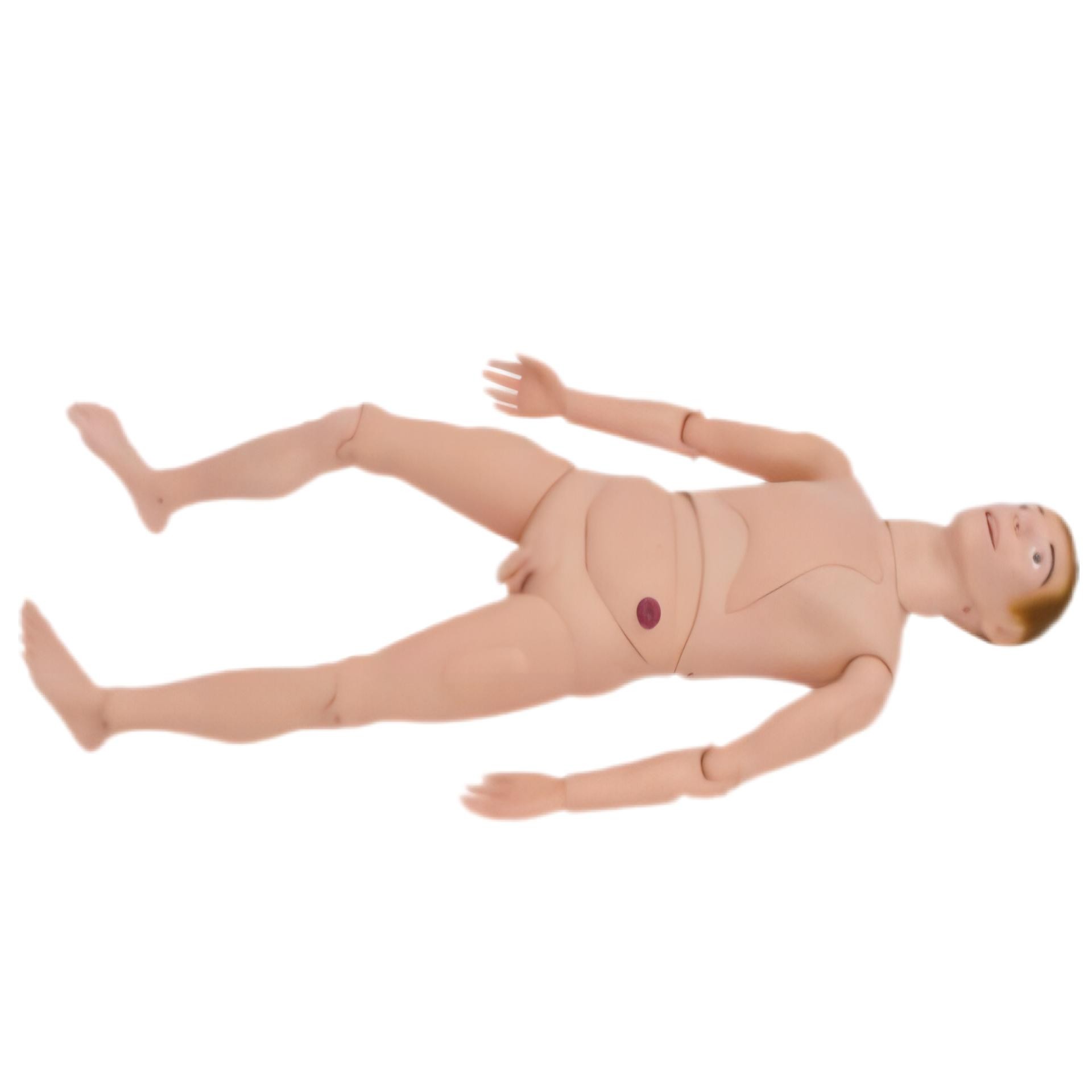 脊柱損傷搬運仿真標準化病人 (自動語音報警)