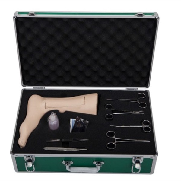 高級(jí)靜脈切開模型