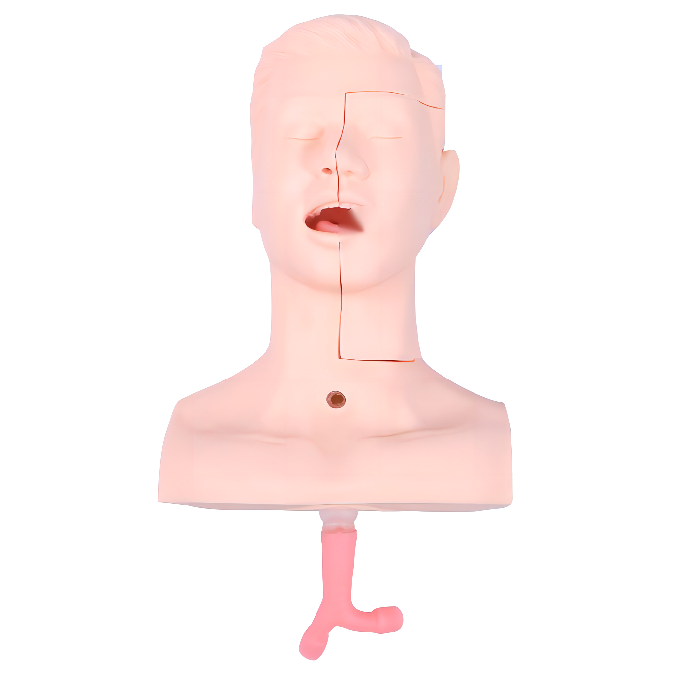 高級吸痰練習(xí)模型