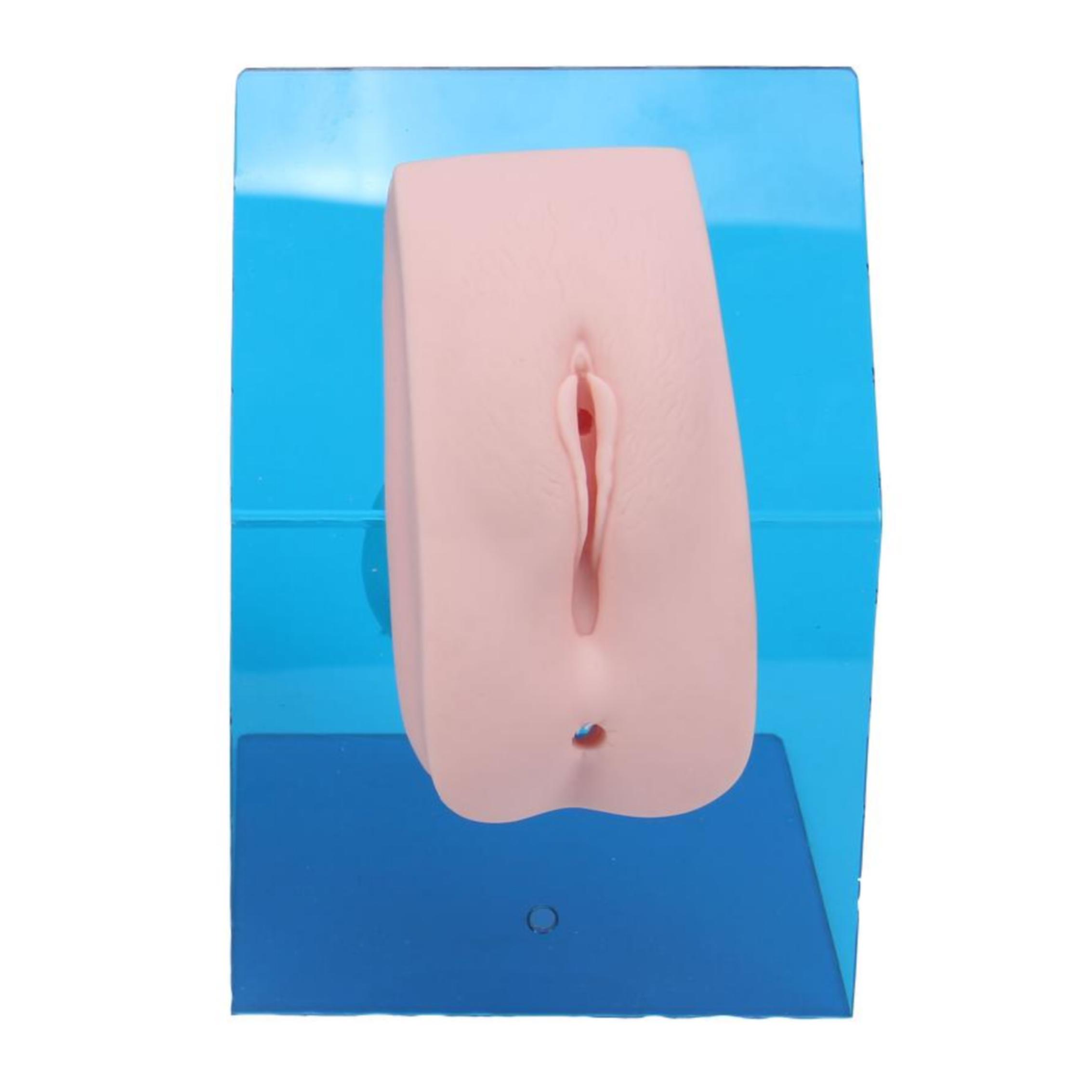 高級(jí)著裝式女性導(dǎo)尿模型