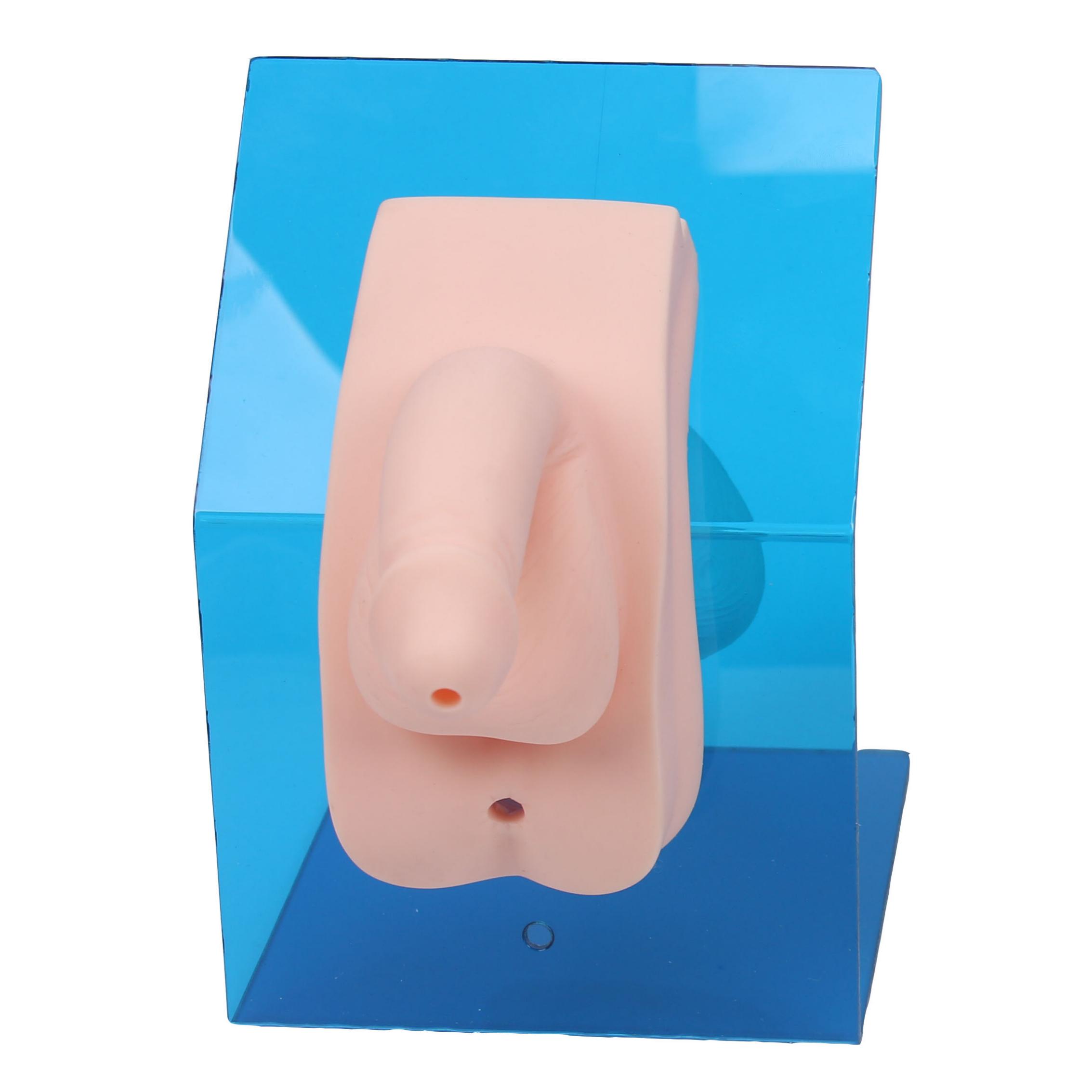 高級(jí)著裝式男性導(dǎo)尿模型