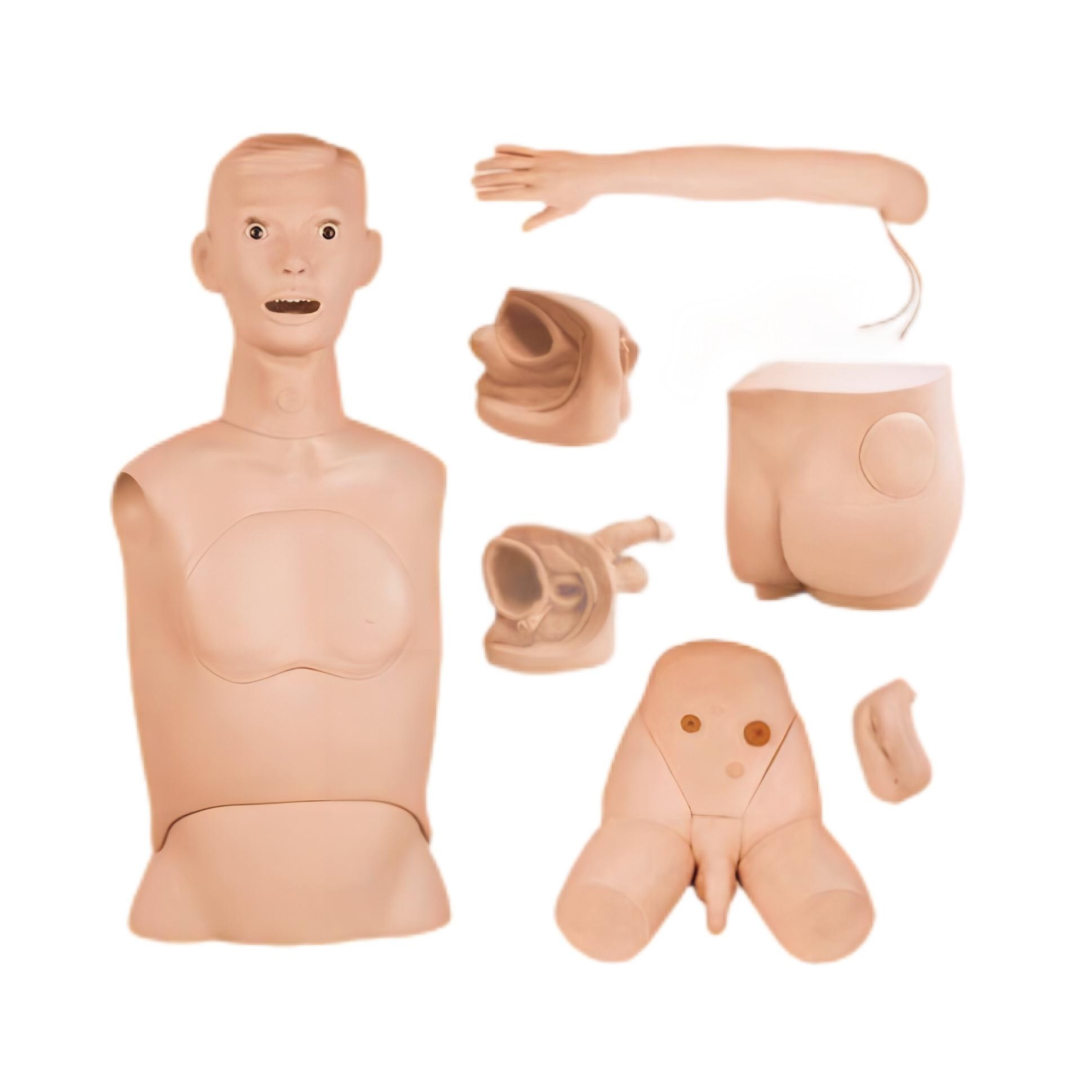 高級基礎(chǔ)護(hù)理實(shí)習(xí)操作模型（七部件）