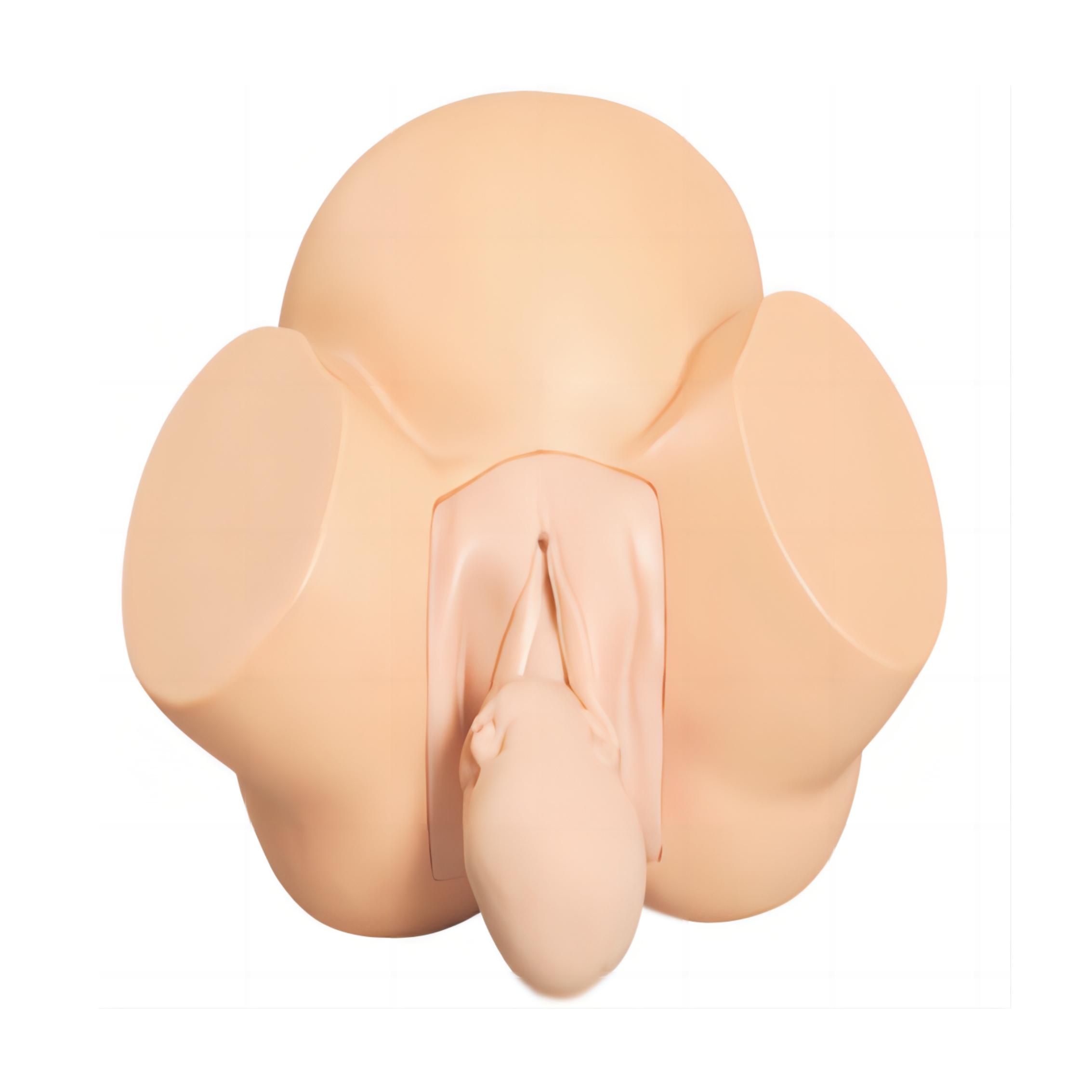 高級助產(chǎn)訓練模型