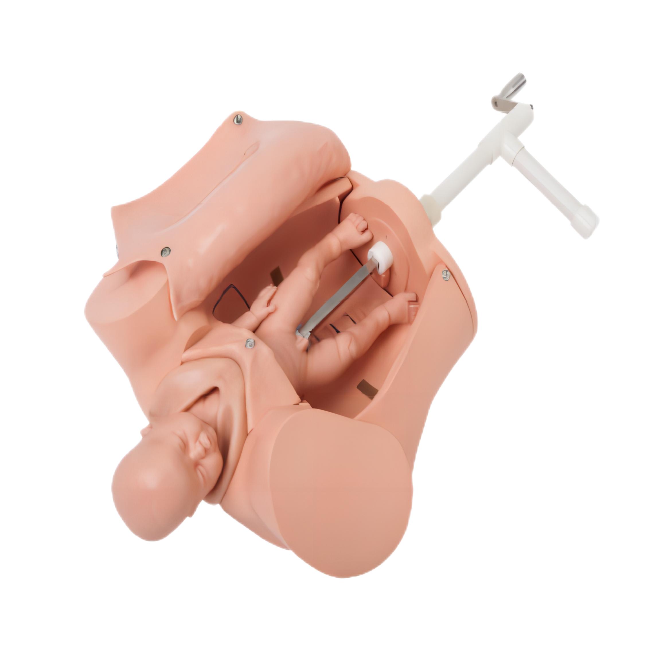 手搖分娩機轉模型