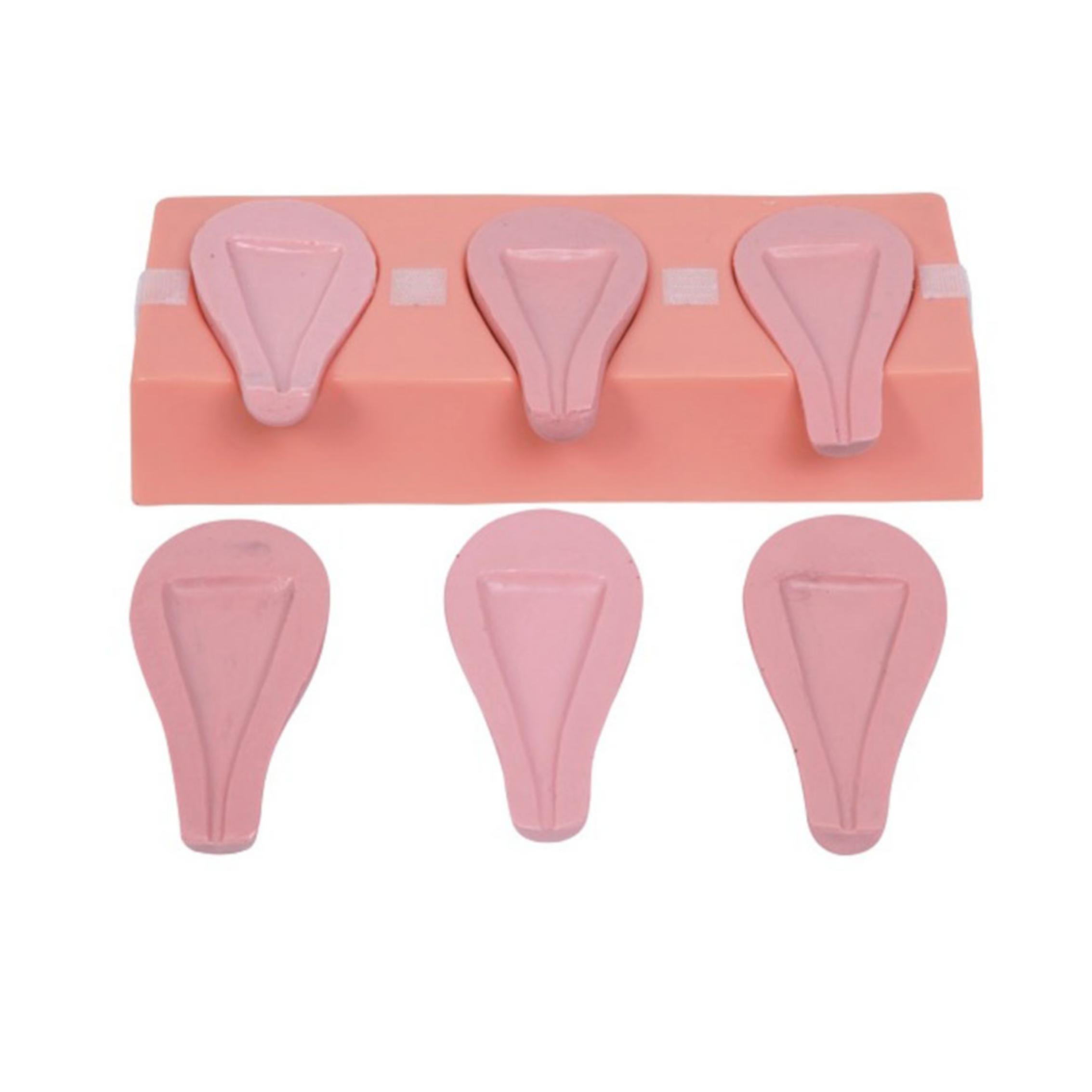 高級(jí)人工流產(chǎn)模擬子宮模型