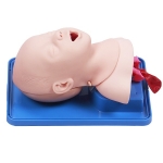 高級(jí)嬰兒氣管插管模型