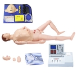 高級(jí)多功能護(hù)理急救訓(xùn)練模擬人（心肺復(fù)蘇、導(dǎo)尿、手臂穿刺）