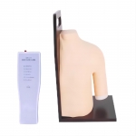 高級肩關節(jié)腔內(nèi)注射模型