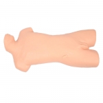 腹部移動(dòng)性濁音叩診與腹腔穿刺訓(xùn)練模型