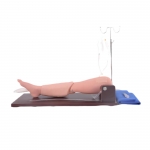 高級(jí)骨穿刺及股靜脈穿刺模型