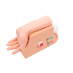  高級動脈血氣分析訓練模型