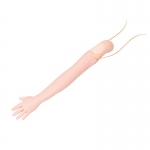 高級(jí)手臂靜脈穿刺及肌肉注射訓(xùn)練模型