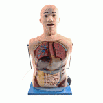 多功能透明洗胃訓(xùn)練模型