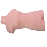  術(shù)前無(wú)菌操作培訓(xùn)模型