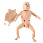 高級(jí)嬰兒護(hù)理人模型