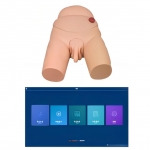 高級男性導尿模型（軟件版）